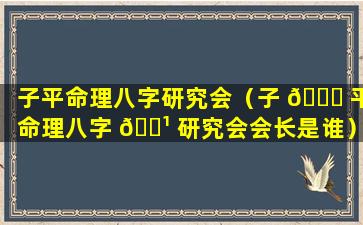 子平命理八字研究会（子 🐒 平命理八字 🌹 研究会会长是谁）